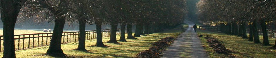 Schaakvereniging Castricum